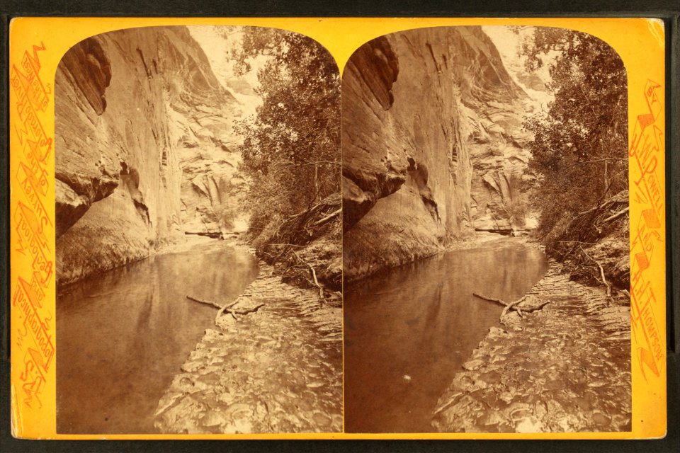 Kai-shu-imp toom-pu-wa (birch on the rock), by Hillers, John K., 1843-1925