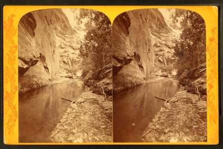 Kai-shu-imp toom-pu-wa (birch on the rock), by Hillers, John K., 1843-1925