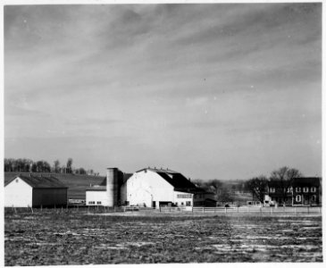 Lancaster County, Pennsylvania. An Old-Order Amish farm place whose barn and house show the usual e . . . - NARA - 521092