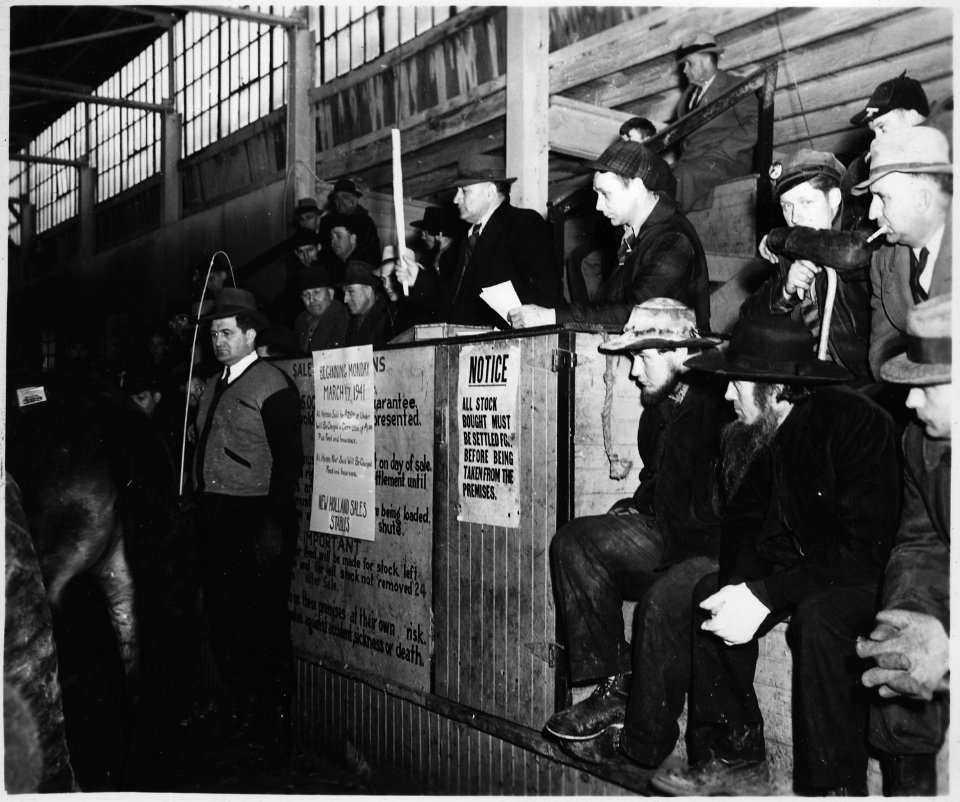 Lancaster County, Pennsylvania. Horse sales are still popular institutions in Lancaster County. Th . . . - NARA - 521120