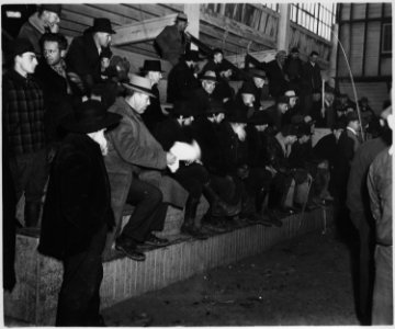 Lancaster County, Pennsylvania. Horse sales are still popular institutions in Lancaster County. Th . . . - NARA - 521118