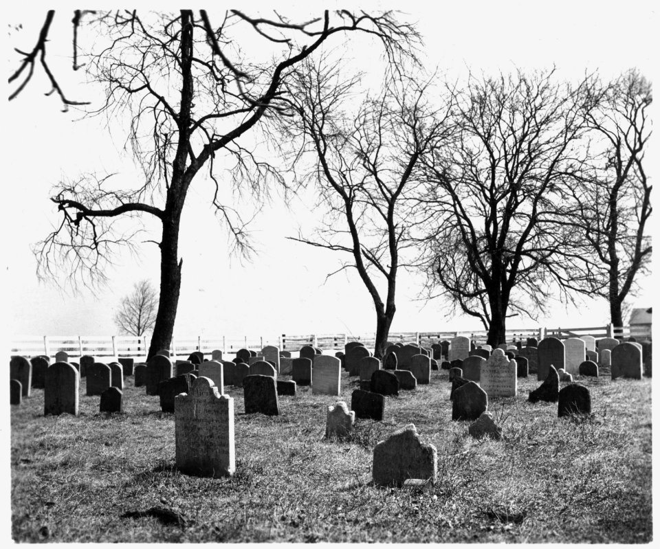 Lancaster County, Pennsylvania. An old Amish cemetery. Note that the stones are plain and small an . . . - NARA - 521130