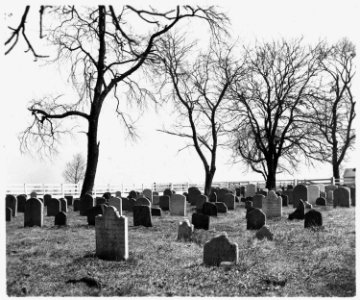 Lancaster County, Pennsylvania. An old Amish cemetery. Note that the stones are plain and small an . . . - NARA - 521130