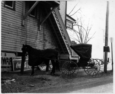 Lancaster County, Pennsylvania. An open-type convertible buggy peculiar to the Conservative Mennoni . . . - NARA - 521139