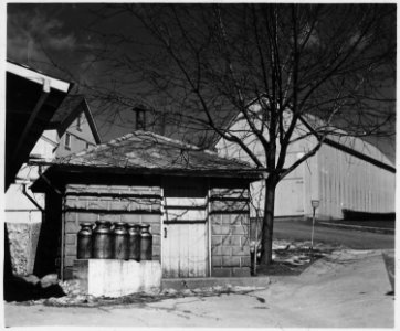 Lancaster County, Pennsylvania. Most farms in this region sell wholesale milk to Lancaster, Philade . . . - NARA - 521144