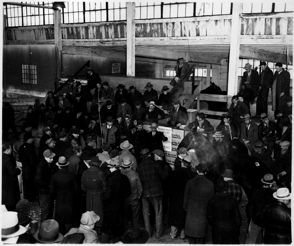 Lancaster County, Pennsylvania. Horse sales are still popular institutions in Lancaster County. Th . . . - NARA - 521121