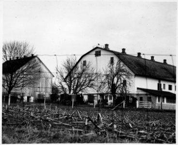 Lancaster County, Pennsylvania. These buggies are standing in the yard of a farm place in which a h . . . - NARA - 521087