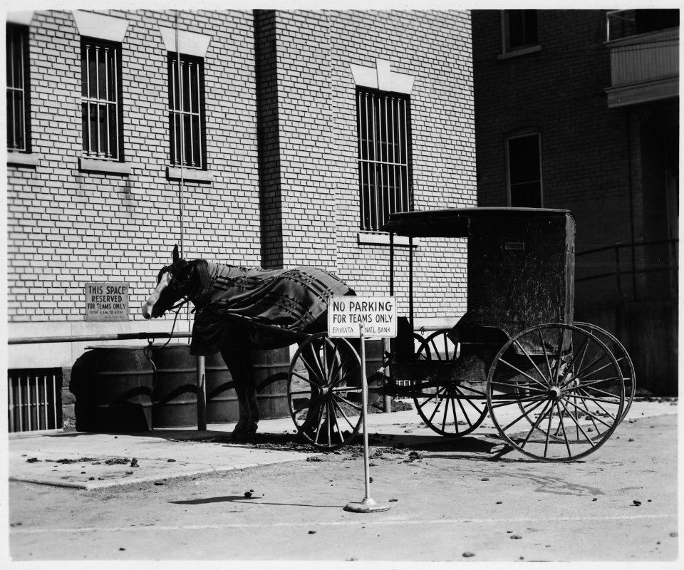 Lancaster County, Pennsylvania. This buggy is one of the several Mennonite types. This type is gen . . . - NARA - 521064