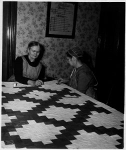 Lancaster County, Pennsylvania. These two Church Amish women are engaged in quilting. Quilting bee . . . - NARA - 521135