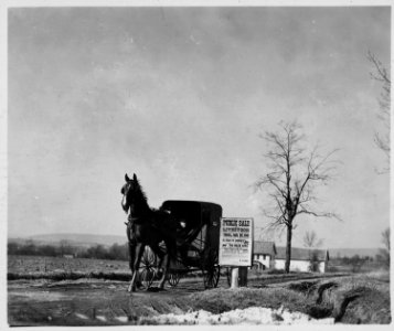 Lancaster County, Pennsylvania. This is an Old-Order Amish carriage. - NARA - 521136