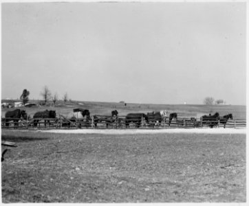 Lancaster County, Pennsylvania. Transportation in 1941 in the Old-Order Amish-Mennonite communities . . . - NARA - 521070 photo