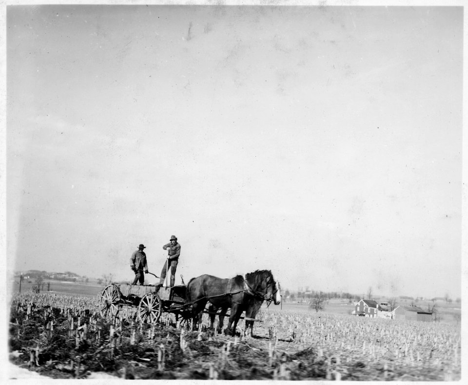 Lancaster County, Pennsylvania. These Conservative Mennonites are spreading manure by hand. Certai . . . - NARA - 521068