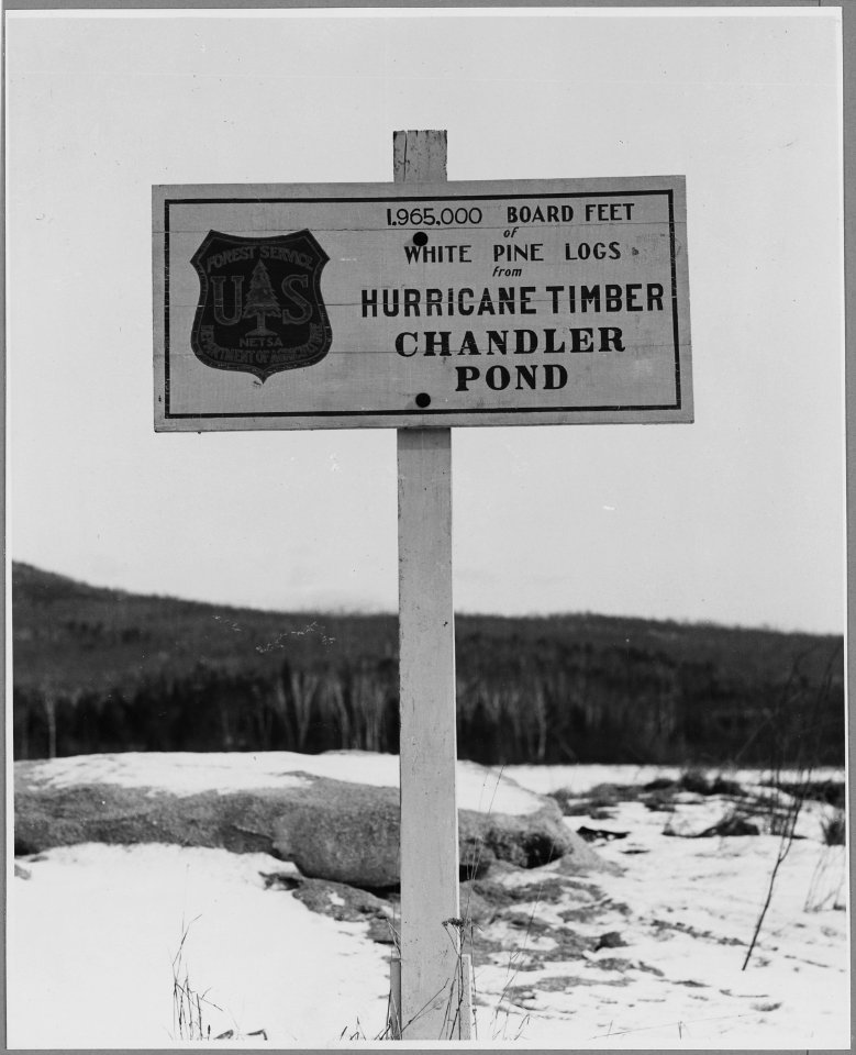 Landaff, Grafton County, New Hampshire. After the hurricane of Sept. 1938, the government bought up . . . - NARA - 521509