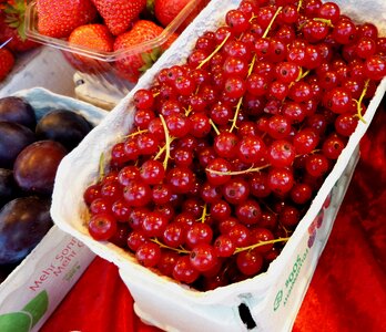 Fruit fruits garden currant