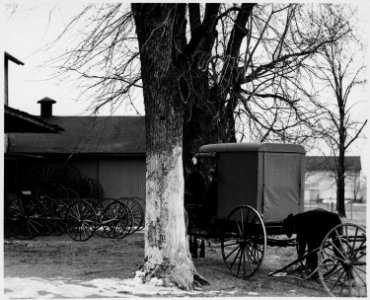 Lancaster County, Pennsylvania. This picture shows an Old-Order Amish buggy in front of a buggy sho . . . - NARA - 521067