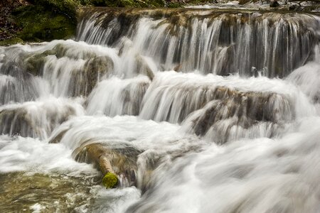 Nature murmur bach photo