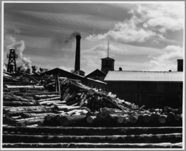Landaff, Grafton County, New Hampshire. Logs are hauled to the top of the pile by cables drawn by po . . . - NARA - 521461