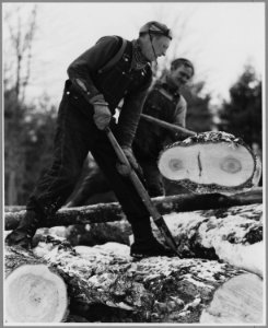 Landaff, Grafton County, New Hampshire. Mr. Charles Chandler, the moderator of Landaff, does a consi . . . - NARA - 521511