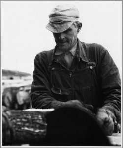 Landaff, Grafton County, New Hampshire. Mr. Oakes and his hired men (father and son), are cutting co . . . - NARA - 521508