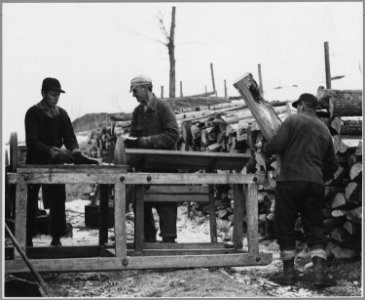 Landaff, Grafton County, New Hampshire. Mr. Oakes and his hired men (father and son), are cutting co . . . - NARA - 521507