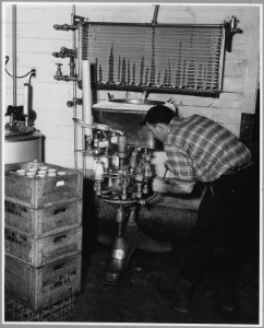 Landaff, Grafton County, New Hampshire. Pasturizing and bottling at Mr. George Clement's farm. He an . . . - NARA - 521496
