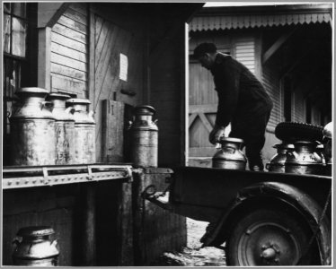 Landaff, Grafton County, New Hampshire. Mr. Alfred Throns delivering his milk at the New England Da . . . - NARA - 521459