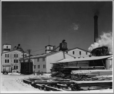 Landaff, Grafton County, New Hampshire. The Lisbon Company was founded in 1897 and increased its hol . . . - NARA - 521460