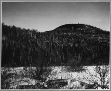 Landaff, Grafton County, New Hampshire. The hillside shown in this picture still bears the marks of . . . - NARA - 521452