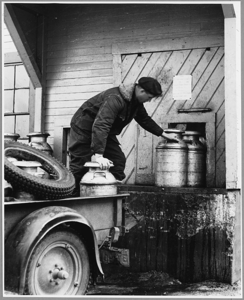 Landaff, Grafton County, New Hampshire. Mr. Alfred Throns delivering his milk at the New England Da . . . - NARA - 521498