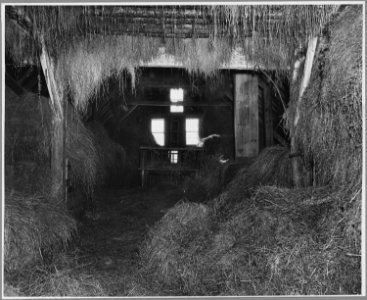 Landaff, Grafton County, New Hampshire. This is the loft of Mr. Oake's barn, with the winter more th . . . - NARA - 521524