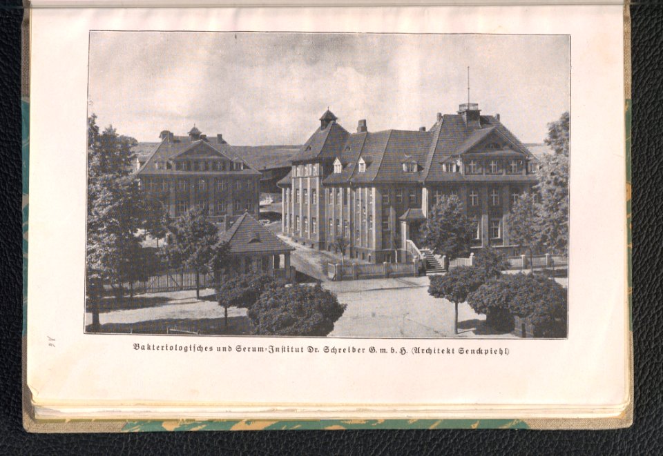 Landsberg-Warthe - ein Fuhrer durch die Stadt und ihre Umgebung 1927 (97848723)