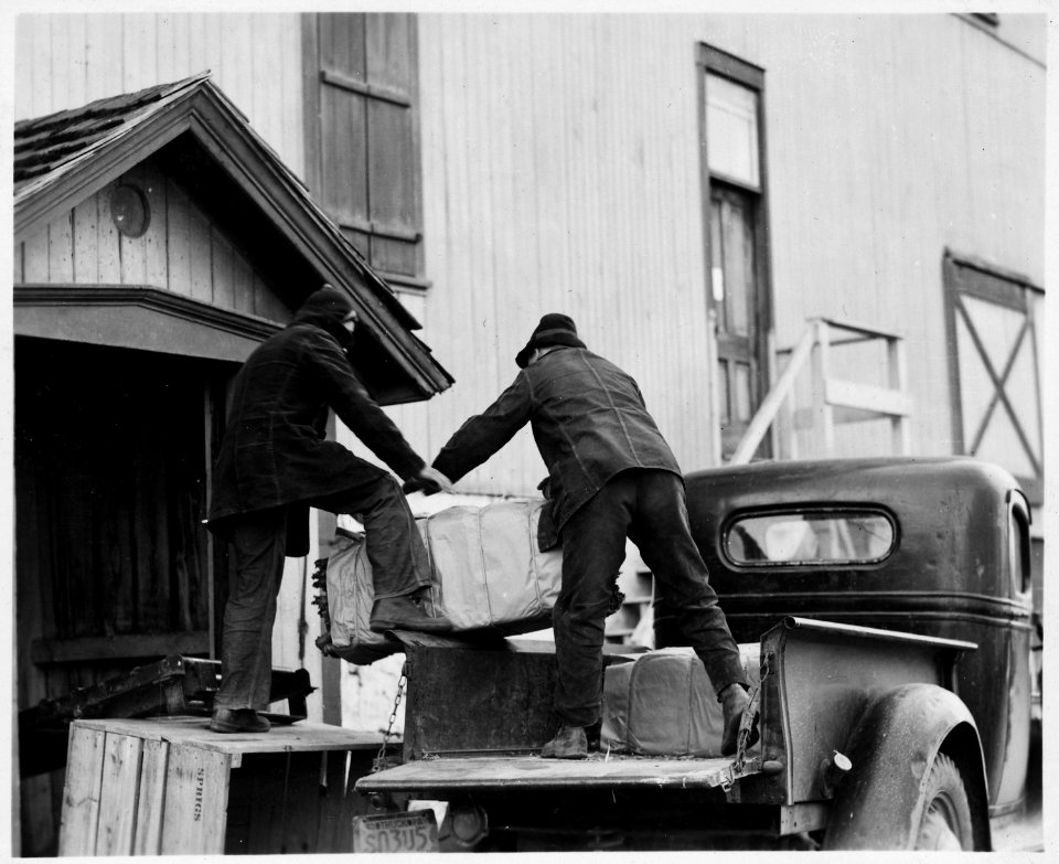 Lancaster County, Pennsylvania. Professional truckmen pick up the tobacco which is grown and baled . . . - NARA - 521072