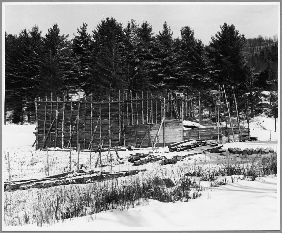 Landaff, Grafton County, New Hampshire. This usual ice-house is operated by Mrs. Henry Gordon who pe . . . - NARA - 521525