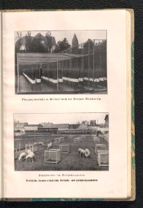 Landsberg-Warthe - ein Fuhrer durch die Stadt und ihre Umgebung 1927 (97849033)
