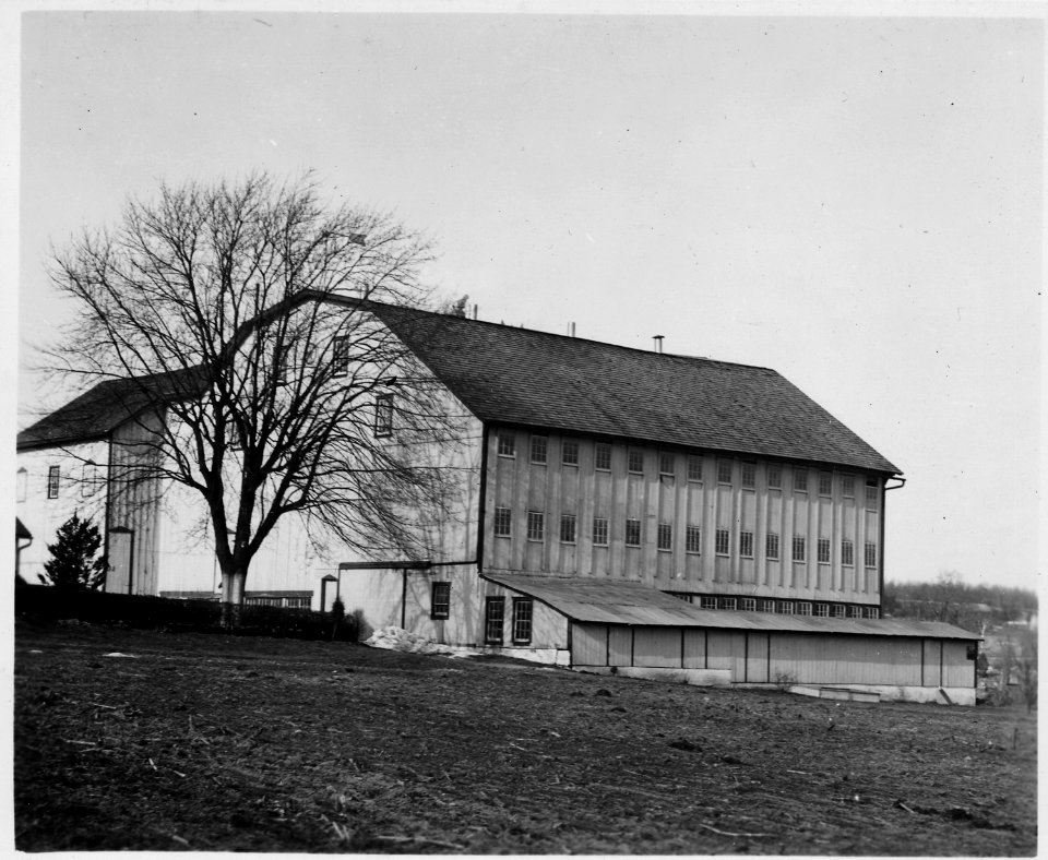 Lancaster County, Pennsylvania. This bank barn...has been built in to accommodate a dairy herd, and . . . - NARA - 521074