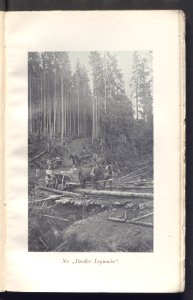 Legiony w Karpatach 1915 (100947353)