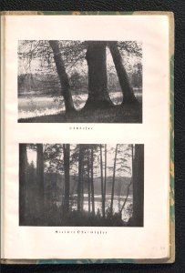 Landsberg-Warthe - ein Fuhrer durch die Stadt und ihre Umgebung 1927 (97849495)