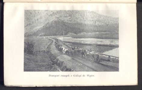 Legiony w Karpatach 1915 (100947955)