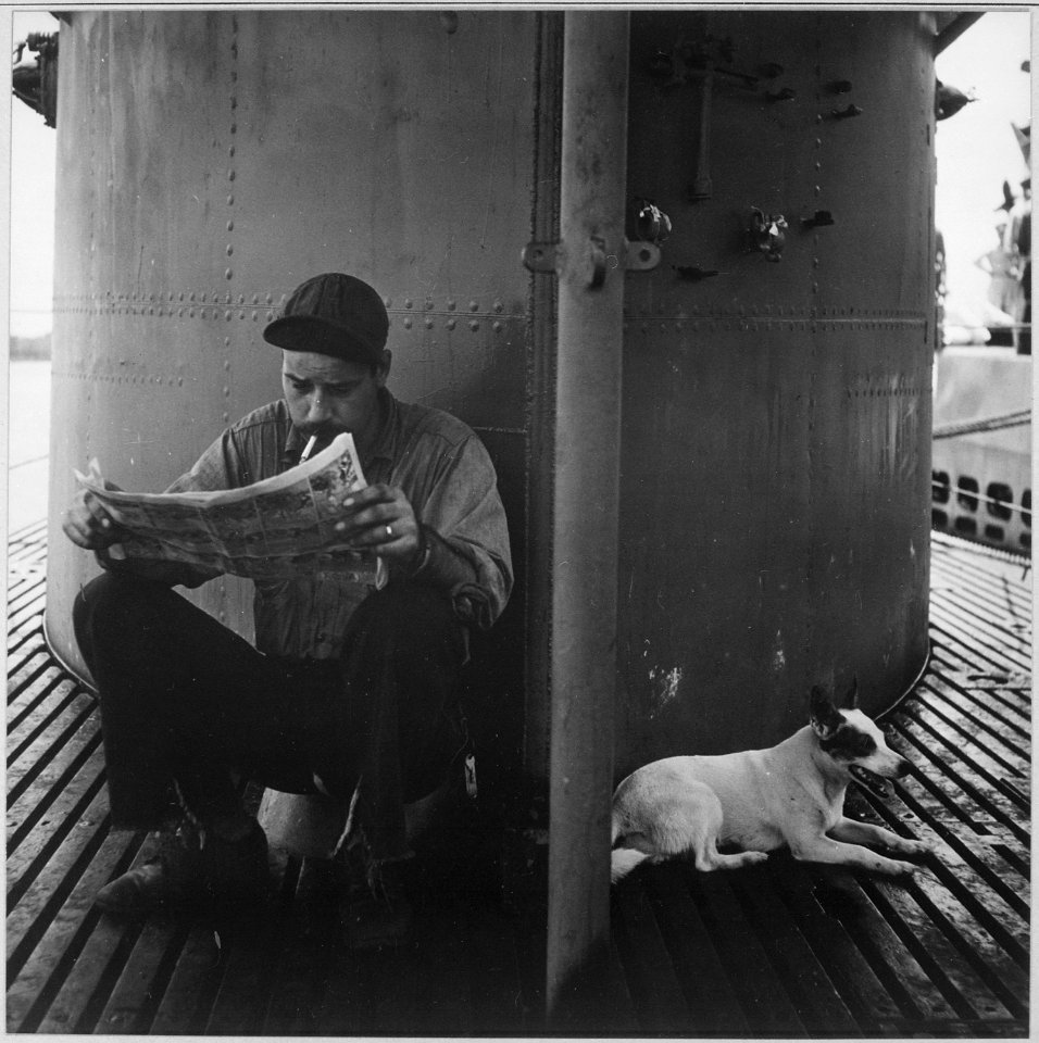 Life beneath the seas on a U.S. submarine. A submariner reading his favorite comic-strip. The submarine mascot pants... - NARA - 520689