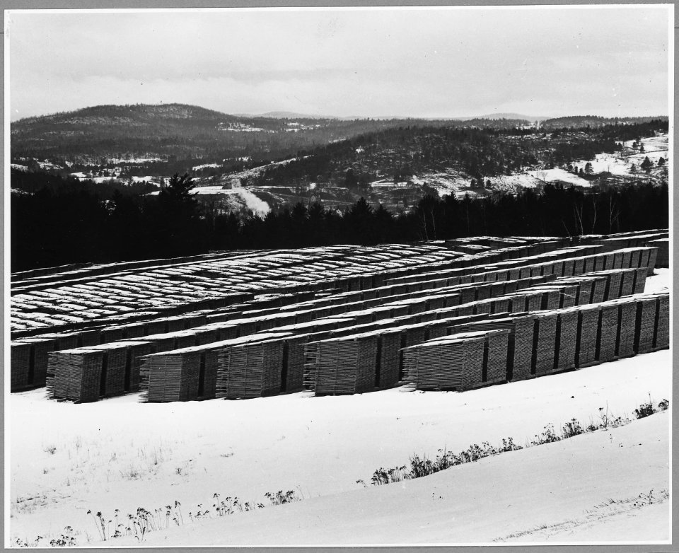 Landaff, Grafton County, New Hampshire. The government sticking lot where boards cut from hurricane . . . - NARA - 521510