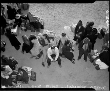 Lone Pine, California. Evacuees of Japanese ancestry arrive here by train and await buses for Manza . . . - NARA - 536234
