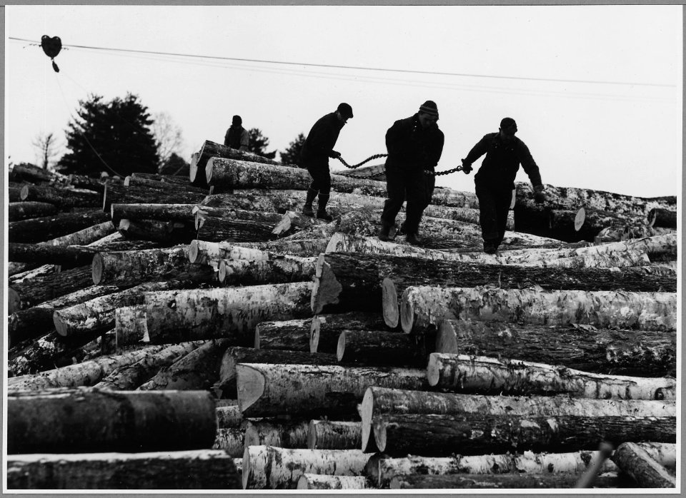 Landaff, Grafton County, New Hampshire. Mill workers yarding logs at the company's mill. - NARA - 521490