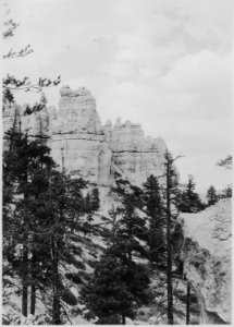 Looking east from Navajo Trail. - NARA - 520322