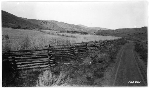 Looking up Mill Creek from Johnson Ranch, Ochoco Forest, 1915. - NARA - 299171 photo