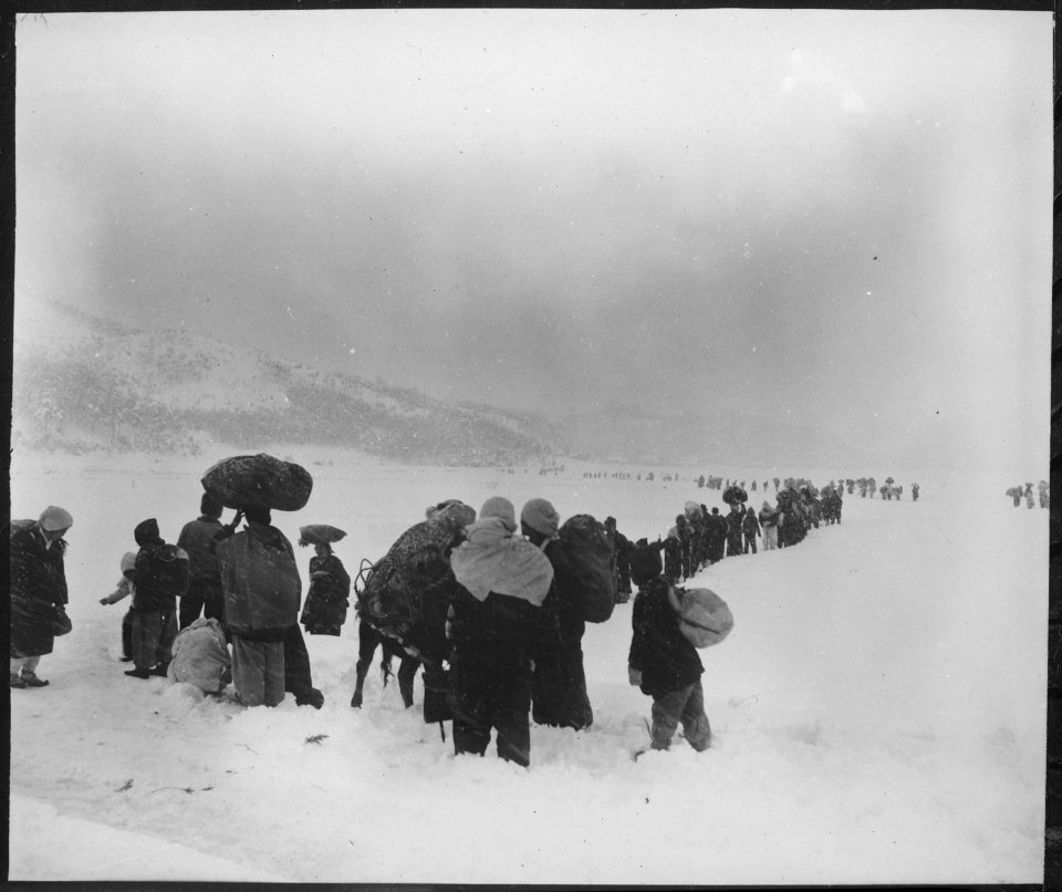 Long trek southward, Seemingly endless file of Korean refugees slogs through snow outside of Kangnung, blocking... - NARA - 531397