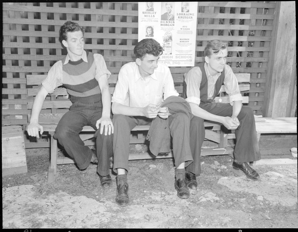 Los Angeles, California. On the Freights. Three youths from Cincinnati, Ohio are traveling together - NARA - 532083