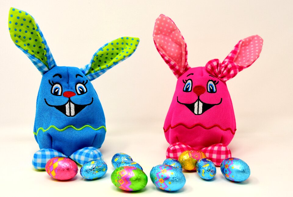 Color hare spring