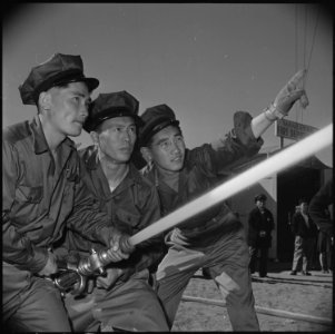 Manzanar Relocation Center, Manzanar, California. A practice fire drill gives the local fire depart . . . - NARA - 536950