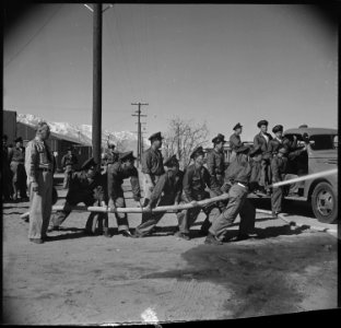 Manzanar Relocation Center, Manzanar, California. A practice fire drill gives the local fire depart . . . - NARA - 536948