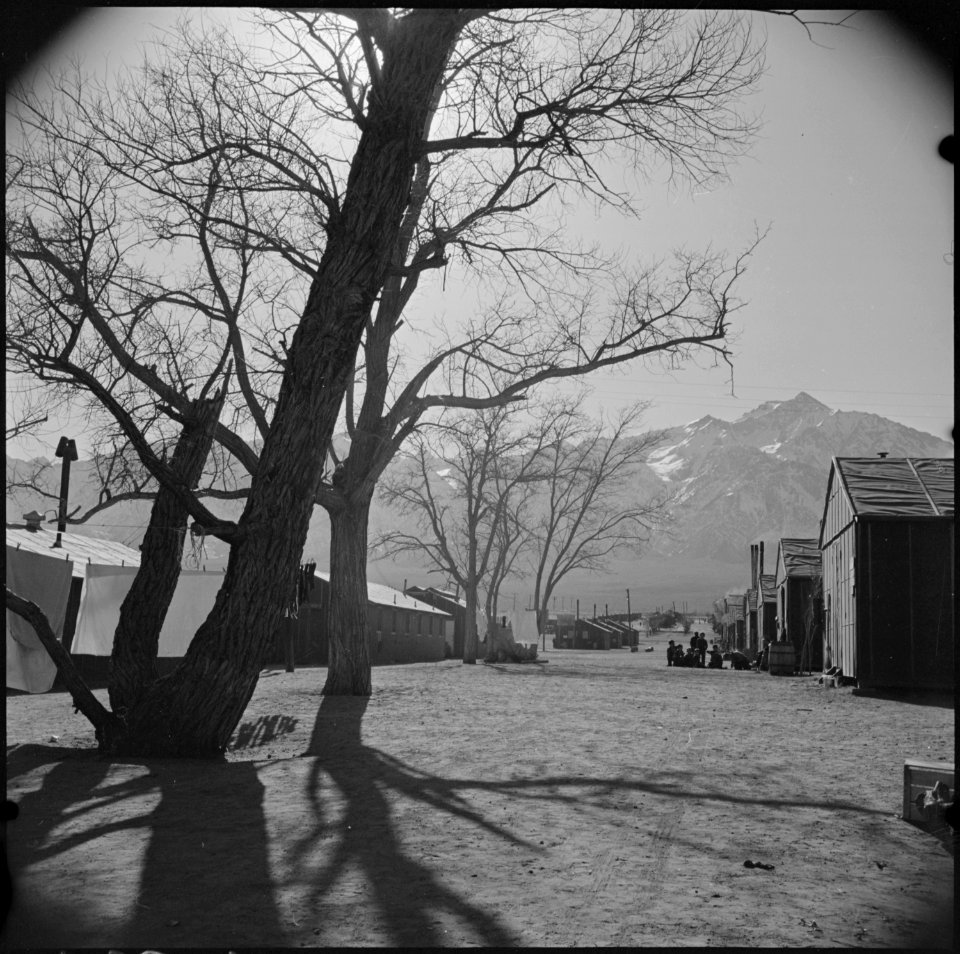 Manzanar Relocation Center, Manzanar, California. A view of Manzanar Relocation Center in the late . . . - NARA - 536704